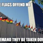 United Nations Flags | THESE FLAGS OFFEND ME; I DEMAND THEY BE TAKEN DOWN | image tagged in united nations flags | made w/ Imgflip meme maker