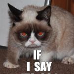 Grumpier Cat | IT  IS  SO; IF    I  SAY  ITS  SO ! | image tagged in grumpy cat red eyes,it is so,i say so | made w/ Imgflip meme maker