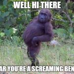 Sassy Monkey | WELL HI THERE; I HEAR YOU'RE A SCREAMING BENDER | image tagged in sassy monkey | made w/ Imgflip meme maker