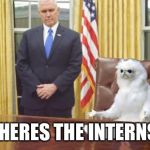 President Oliver | WHERES THE INTERNS? | image tagged in guardian cat in oval office,memes | made w/ Imgflip meme maker