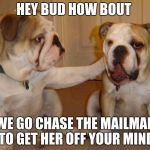 BULLDOG | HEY BUD HOW BOUT; WE GO CHASE THE MAILMAN TO GET HER OFF YOUR MIND | image tagged in bulldog | made w/ Imgflip meme maker