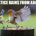phara wannabe | JUSTICE RAINS FROM ABOVE | image tagged in birds | made w/ Imgflip meme maker