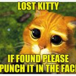 Sorry Kitty | LOST KITTY; IF FOUND PLEASE PUNCH IT IN THE FACE | image tagged in sorry kitty | made w/ Imgflip meme maker