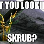Wut you lookin at skrub? | WUT YOU LOOKIN AT; SKRUB? | image tagged in wut you lookin at skrub | made w/ Imgflip meme maker