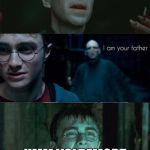 Harry potter | UMM VOLDEMORT WRONG MOVIE DUDE | image tagged in harry potter | made w/ Imgflip meme maker