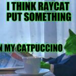 I Should Buy a Boat RayCat | I THINK RAYCAT PUT SOMETHING; IN MY CATPUCCINO | image tagged in funny,i should buy a boat cat,animals,memes | made w/ Imgflip meme maker