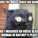 Cannot Be Unseen Cat | I WATCHED THE MUSIC VIDEO FOR WOMANIZER; AND I IMAGINED AN OBESE BLACK WOMAN IN BRITNEY'S PLACE | image tagged in cannot be unseen cat | made w/ Imgflip meme maker