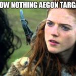 You know nothing Jon Snow | YOU KNOW NOTHING AEGON TARGARYEN... | image tagged in you know nothing jon snow | made w/ Imgflip meme maker