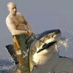 russia is outlawing celebrity memes