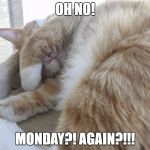 Oh no! Monday!? Again!? | OH NO! MONDAY?! AGAIN?!!! | image tagged in cat nose,monday | made w/ Imgflip meme maker