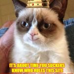 Imgflip, Meet Your New Queen! ♛ | IT'S ABOUT TIME YOU SUCKERS KNOW WHO RULES THIS SITE; NOW BOW DOWN AND WORSHIP ME | image tagged in smiling grumpy cat,grumpy cat is the queen of imgflip,grumpy cat,imgflip users,meanwhile on imgflip,craziness_all_the_way | made w/ Imgflip meme maker