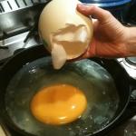 Cooking dragon egg