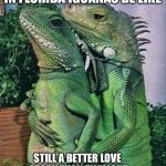 Iguanas in Florida | IN FLORIDA IGUANAS BE LIKE; STILL A BETTER LOVE STORY THAN TWILIGHT | image tagged in iguanas,meanwhile in florida,still a better love story than twilight,memes | made w/ Imgflip meme maker