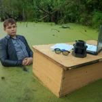 Swamp desk meme