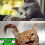 Sad Happy Cat | BLOCKBUSTER GOT SHUT DOWN; BUT I GOT NETFLIX AND XBOX SO NO WORRIES! | image tagged in sad happy cat | made w/ Imgflip meme maker