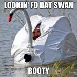 swanity swooty | LOOKIN' FO DAT SWAN; BOOTY | image tagged in cheating is wrong,memes | made w/ Imgflip meme maker