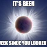 Eclipse  | IT'S BEEN; ONE WEEK SINCE YOU LOOKED AT ME | image tagged in eclipse | made w/ Imgflip meme maker