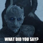 Night King Stare | WHAT DID YOU SAY? | image tagged in night king stare | made w/ Imgflip meme maker