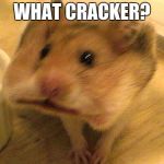 Craker Hamster | WHAT CRACKER? | image tagged in craker hamster | made w/ Imgflip meme maker