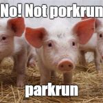 cutepigs | No! Not porkrun; parkrun | image tagged in cutepigs | made w/ Imgflip meme maker