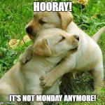 Puppy I love bro | HOORAY! IT'S NOT MONDAY ANYMORE! | image tagged in puppy i love bro | made w/ Imgflip meme maker