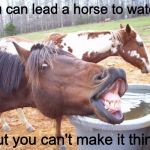 Silly horse face at water trough | You can lead a horse to water... But you can't make it think. | image tagged in silly horse face at water trough | made w/ Imgflip meme maker