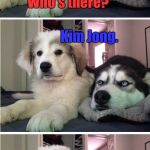 My worst knock knock joke so far... | Knock knock. Who's there? Kim Jong. Kim Jong who? Doesn't matter. They're basically the same. | image tagged in knock knock dogs | made w/ Imgflip meme maker