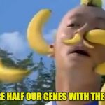Banana man | WE SHARE HALF OUR GENES WITH THE BANANA | image tagged in banana man | made w/ Imgflip meme maker