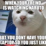 srsly cat | WHEN YOUR FREIND IS WATCHING NARUTO; BUT YOU DONT HAVE YOUR LAPTOP SO YOU JUST LIKE | image tagged in srsly cat | made w/ Imgflip meme maker