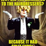 Banana Tree  | WHY DID THE BANANA GO TO THE HAIRDRESSERS? BECAUSE IT HAD SPLIT ENDS! | image tagged in banana tree | made w/ Imgflip meme maker