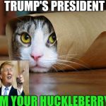 cute and funny animal pictures 6 | TRUMP'S PRESIDENT; I'M YOUR HUCKLEBERRY ! | image tagged in cute and funny animal pictures 6 | made w/ Imgflip meme maker