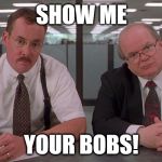the bobs | SHOW ME; YOUR BOBS! | image tagged in the bobs | made w/ Imgflip meme maker