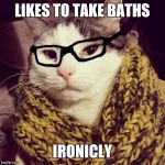 Hipster Cat | LIKES TO TAKE BATHS; IRONICLY | image tagged in hipster cat | made w/ Imgflip meme maker