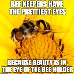 protectbees | BEE KEEPERS HAVE THE PRETTIEST EYES; BECAUSE BEAUTY IS IN THE EYE OF THE BEE HOLDER | image tagged in bees,dad jokes | made w/ Imgflip meme maker