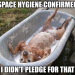 bath dog | SPACE HYGIENE CONFIRMED; I DIDN'T PLEDGE FOR THAT | image tagged in bath dog | made w/ Imgflip meme maker