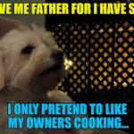 I'm guessing he's not the only one :) | FORGIVE ME FATHER FOR I HAVE SINNED; I ONLY PRETEND TO LIKE MY OWNERS COOKING... | image tagged in julio,memes,animals,dogs,religion,confession | made w/ Imgflip meme maker
