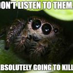 missunder stoood spider | DON'T LISTEN TO THEM... I'M ABSOLUTELY GOING TO KILL YOU | image tagged in missunder stoood spider | made w/ Imgflip meme maker