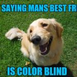 Happy Dog | JUST SAYING MANS BEST FRIEND; IS COLOR BLIND | image tagged in happy dog | made w/ Imgflip meme maker