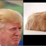 Who wore it better trump