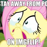 PLEASE! | CAN I STAY AWAY FROM POLITICS; ON IMGFLIP! | image tagged in crying fluttershy,memes,my little pony,politics | made w/ Imgflip meme maker