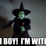 Rich Witch | OH BOY!  I'M WITCH | image tagged in wicked witch,the wizard of oz,homepage | made w/ Imgflip meme maker