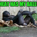 Huevos | THIS HEAT HAS MY BALLS LIKE | image tagged in big balls gorilla,heat,summer,hot,balls,testicles | made w/ Imgflip meme maker