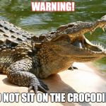crocodile | WARNING! DO NOT SIT ON THE CROCODILE! | image tagged in crocodile | made w/ Imgflip meme maker