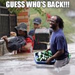 Katrina Looter (Guess Who's Back?!) | GUESS WHO'S BACK!!! | image tagged in katrina looter guess who's back | made w/ Imgflip meme maker