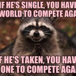 Scheming Racoon | IF HE'S SINGLE, YOU HAVE THE WORLD TO COMPETE AGAINST; IF HE'S TAKEN, YOU HAVE THE ONE TO COMPETE AGAINST | image tagged in scheming racoon | made w/ Imgflip meme maker