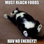 Fat cat | MUST REACH FOODS; HAV NO ENERGYZ! | image tagged in fat cat | made w/ Imgflip meme maker