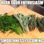 laid-back herbs | HERB YOUR ENTHUSIASM; SMOOTHNESS IS COMING | image tagged in laid-back herbs | made w/ Imgflip meme maker