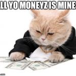 fat cat | ALL YO MONEYZ IS MINES | image tagged in fat cat | made w/ Imgflip meme maker