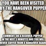 Sick Puppy | YOU HAVE BEEN VISITED BY THE HANGOVER PUPPER; COMMENT 'DO A RECOVER, PUPPER' IN THE NEXT 5 MINUTES AND YOU WILL NEVER SUFFER FROM A HANGOVER AGAIN. | image tagged in sick puppy | made w/ Imgflip meme maker