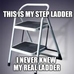Step Ladder | THIS IS MY STEP LADDER; I NEVER KNEW MY REAL LADDER | image tagged in step ladder,funny meme | made w/ Imgflip meme maker